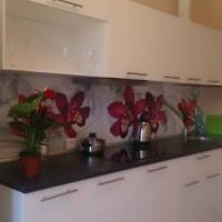 Фотографии отеля Apartments on Predportovyy proezd